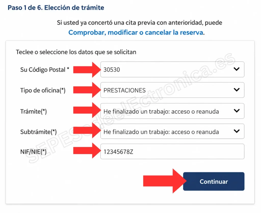 Introducir los Datos de Identificación